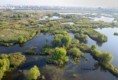 /album/galerie-foto-naturaro-/images-2-jpg1/